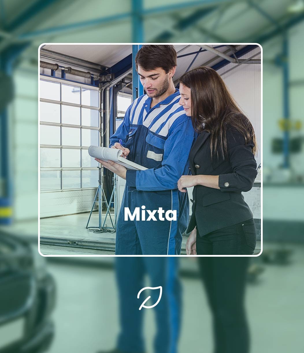 mixta