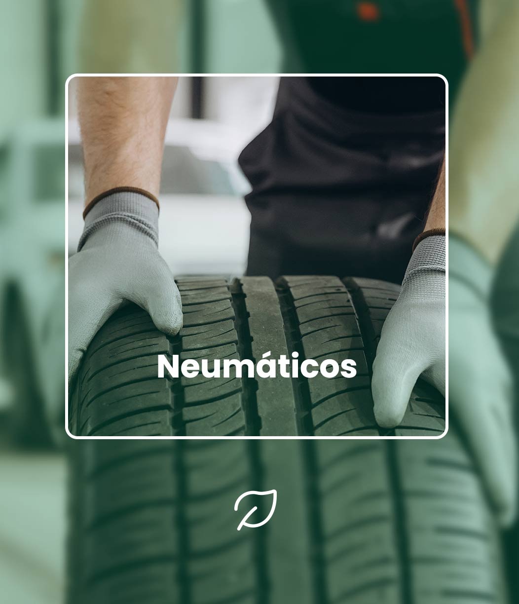 neumaticos