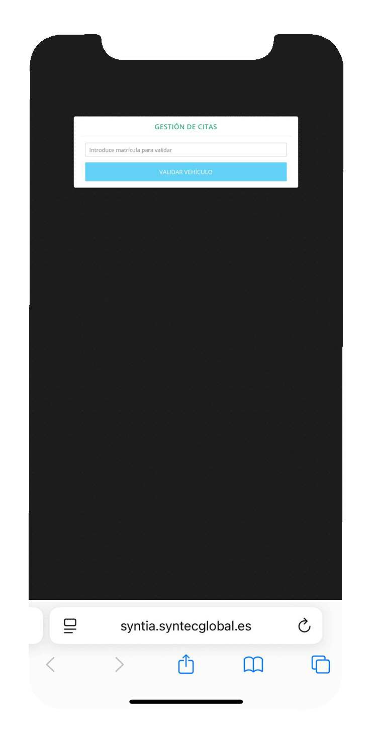 syntia-paso-2